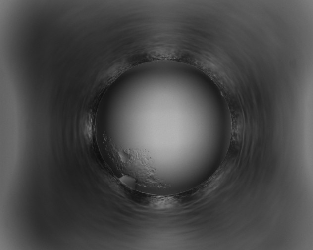 X0000095940334200801111335