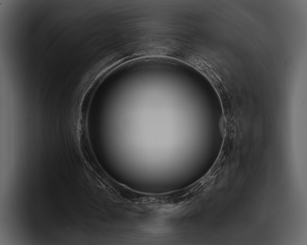 X0000095940338200801111334