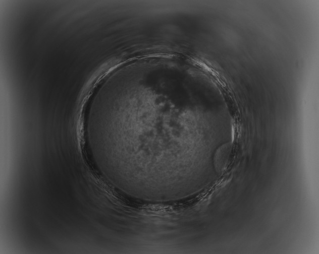 X0000095940339200801111334