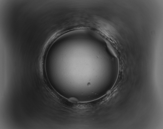 X0000095940341200801111334