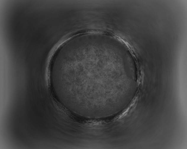 X0000095940343200801111334