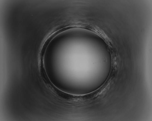 X0000095940344200801111334