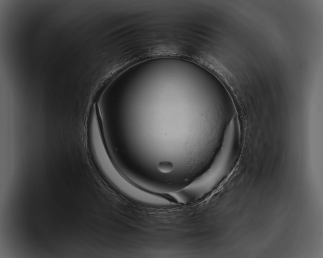X0000095940345200801111334