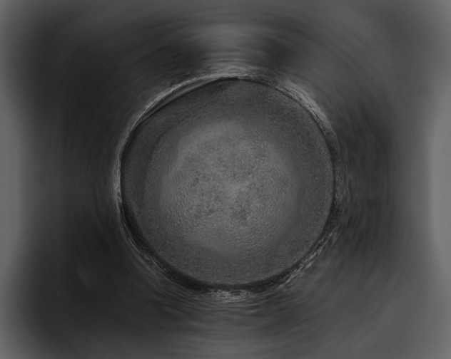 X0000095940346200801111334