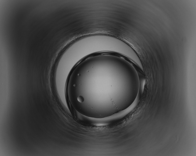 X0000095940350200801111334