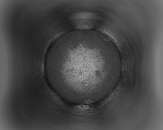 X0000095940353200801111334