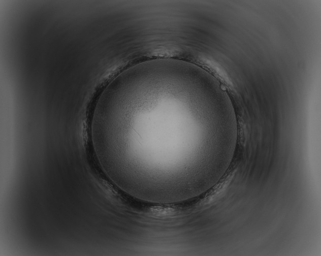 X0000095940354200801111334