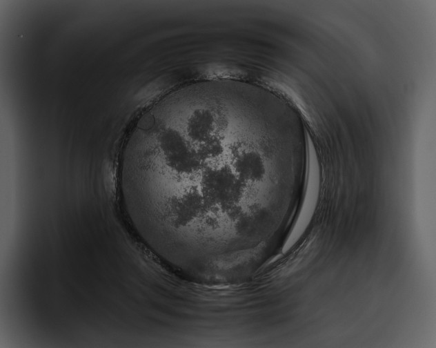 X0000095940357200801111334