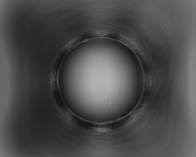 X0000095940360200801111334