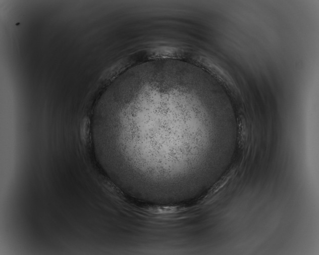 X0000095940361200801111334