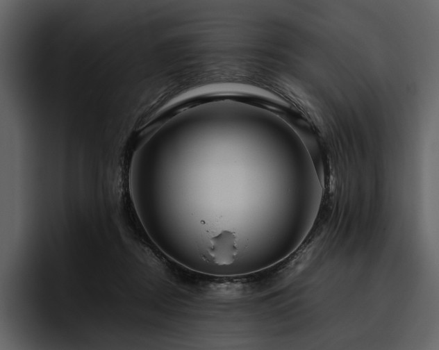 X0000095940362200801111334