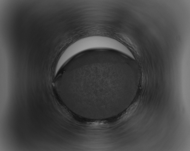 X0000095940366200801111334