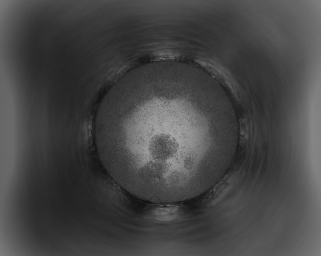 X0000095940369200801111334