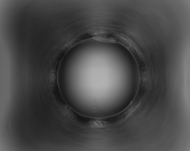 X0000095940372200801111334