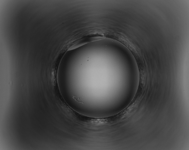 X0000095940378200801111335