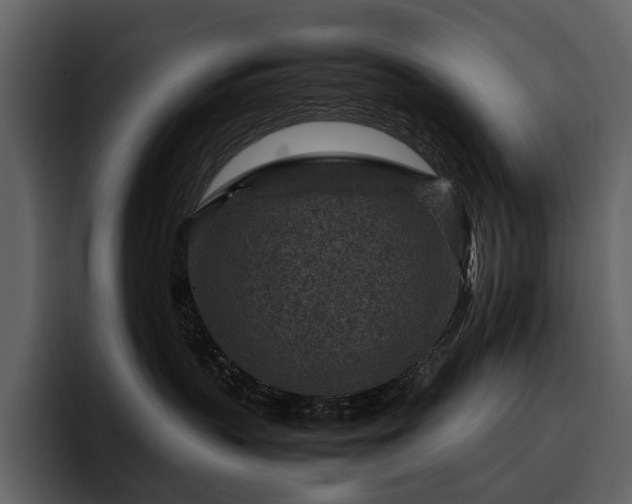 X0000095940383200801111335