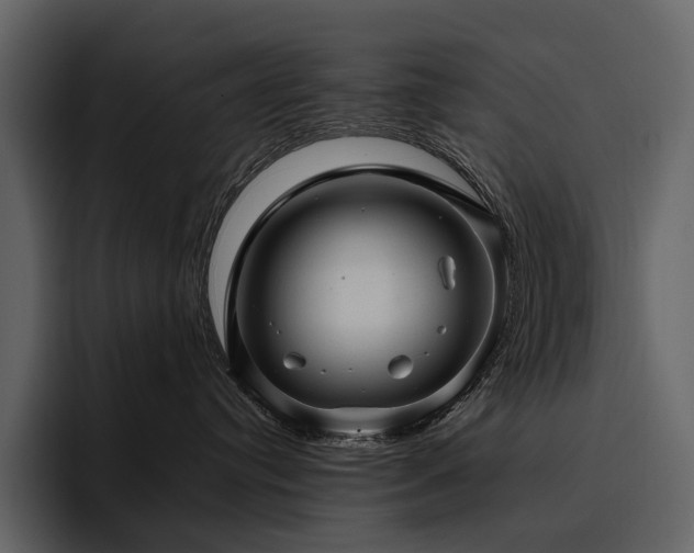X0000095940384200801111335