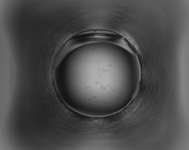 X0000095940385200801111334