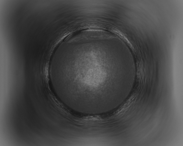 X0000095940386200801111334