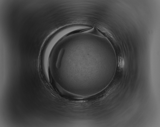 X0000095940388200801111334