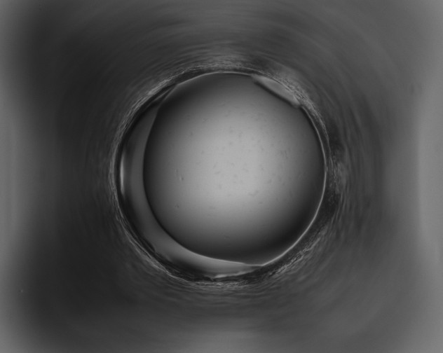 X0000095940389200801111334