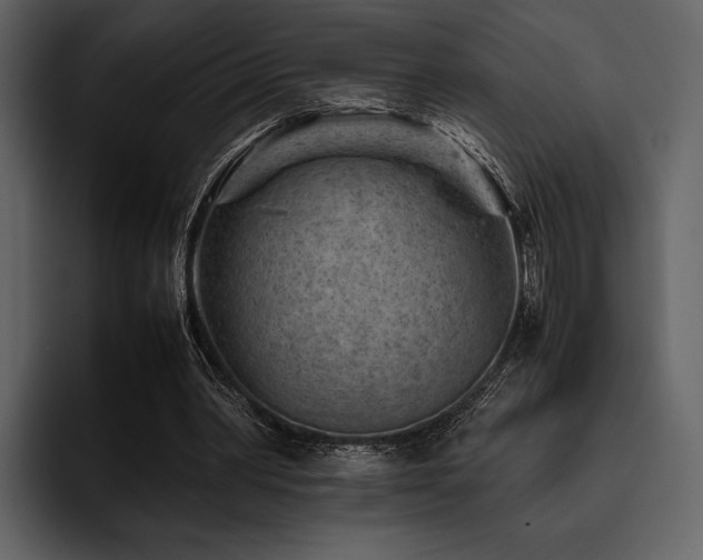 X0000095940390200801111334