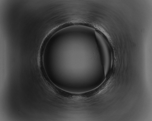 X0000095940391200801111334