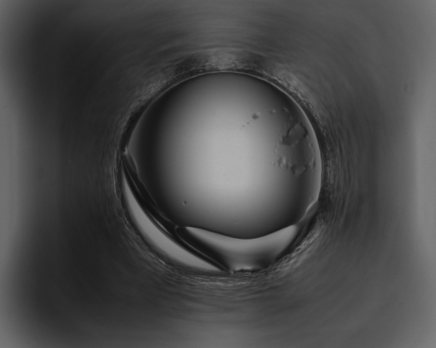 X0000095940393200801111334
