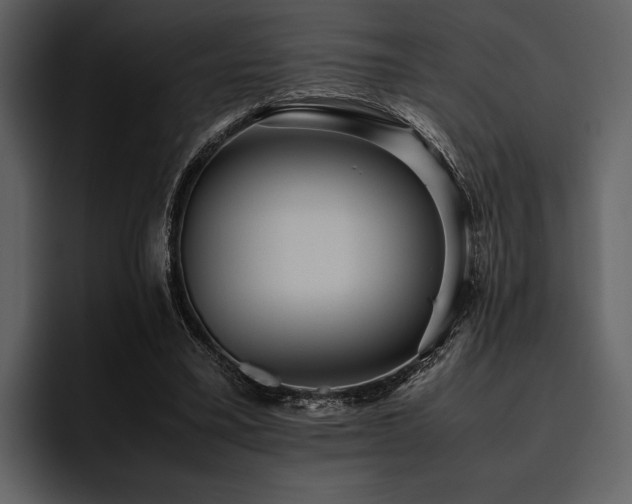 X0000095940395200801111334