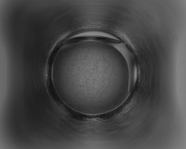 X0000095940396200801111334