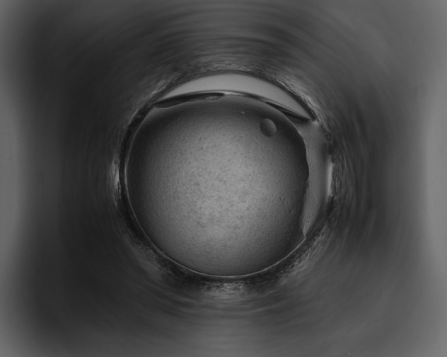 X0000095940398200801111334