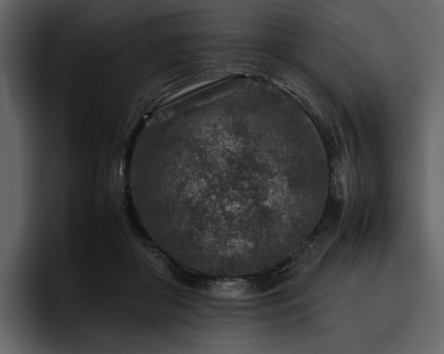 X0000095940410200801111334