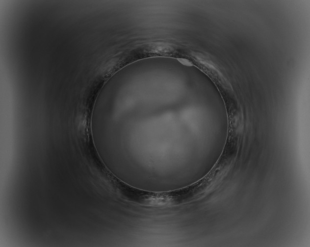 X0000095940415200801111334