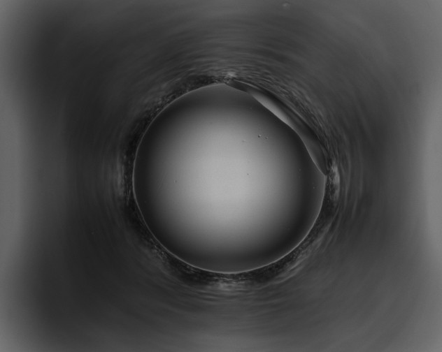 X0000095940416200801111334