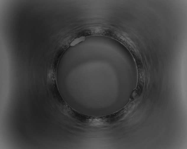 X0000095940419200801111334