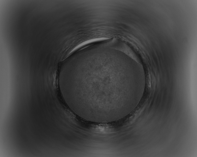 X0000095940420200801111334