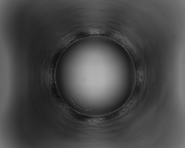 X0000095940422200801111334