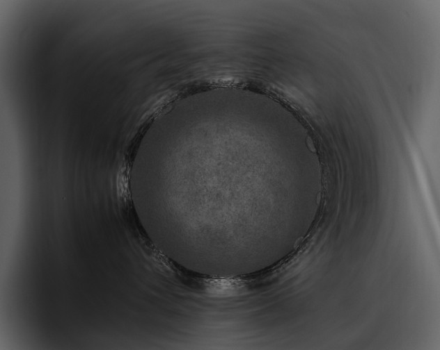 X0000095940432200801111333