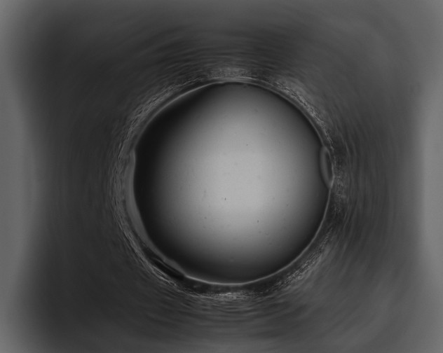 X0000095940433200801111333