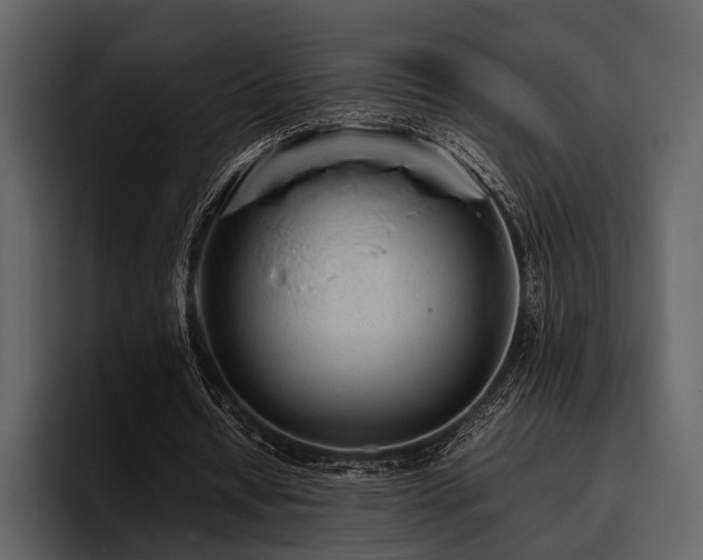 X0000095940434200801111333