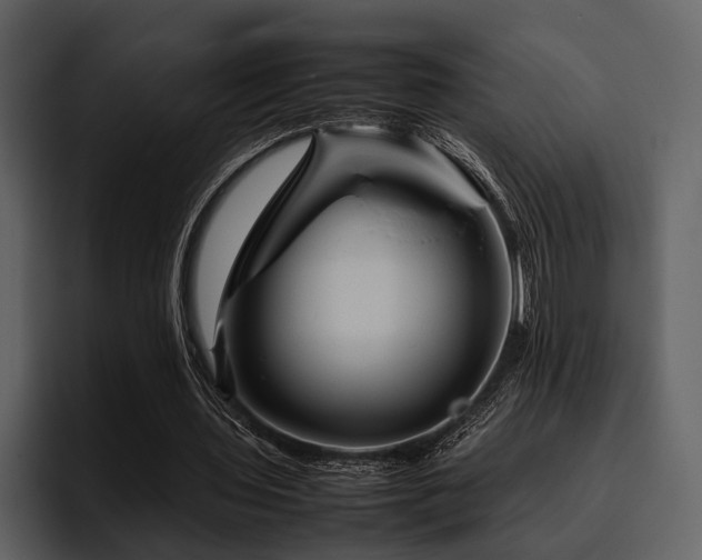 X0000095940435200801111333