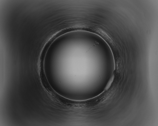 X0000095940436200801111333