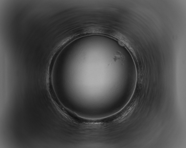 X0000095940437200801111333