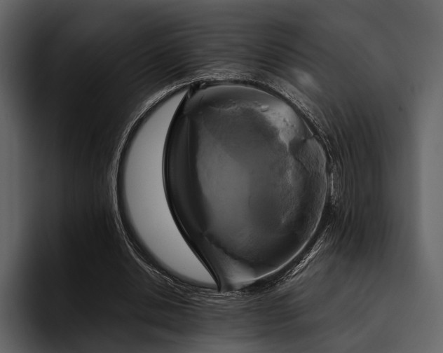 X0000095940438200801111333