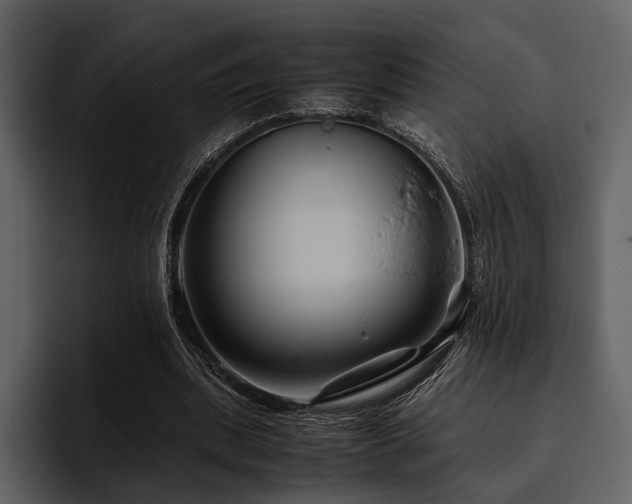 X0000095940439200801111333