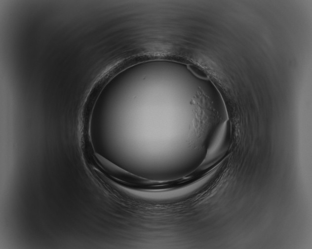 X0000095940440200801111333