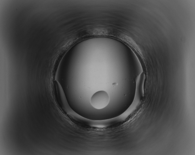 X0000095940441200801111333