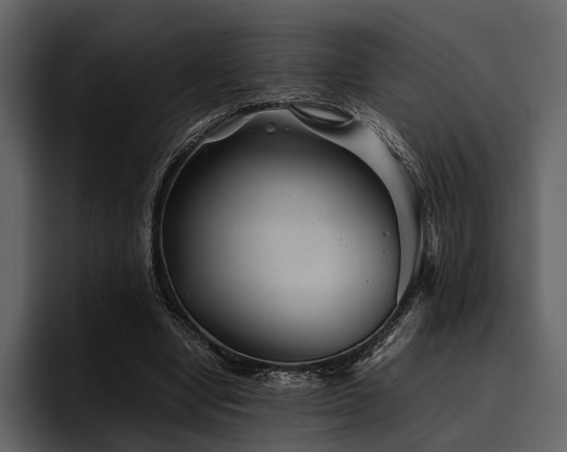 X0000095940442200801111333