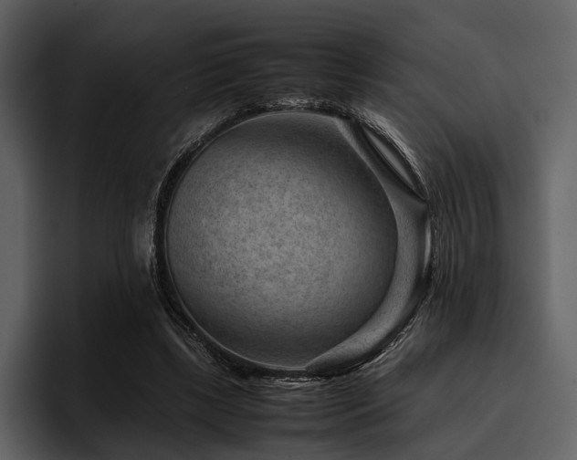 X0000095940443200801111333