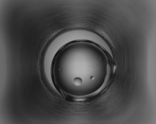 X0000095940444200801111333